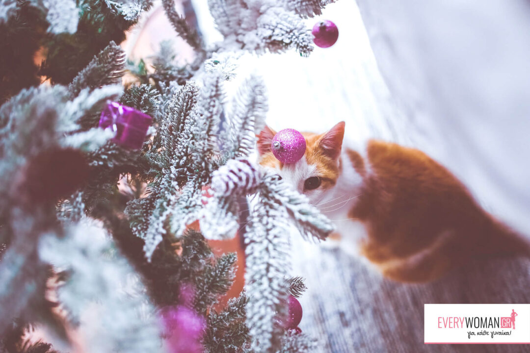 5 εναλλακτικοί τρόποι να διακοσμήσεις το σπίτι σου